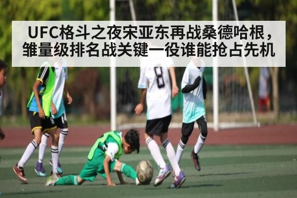 UFC格斗之夜宋亚东再战桑德哈根，雏量级排名战关键一役谁能抢占先机